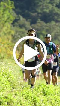 BIB:  <button type="button" onclick="openModal(26578111)" class="btn btn-primary btn-sm float-right" data-toggle="modal" data-target=".modal-high-quality">
                <i class="fa fa-download"></i> Download
                </button>